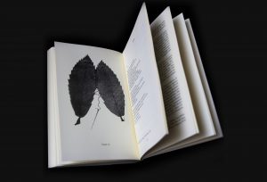 Tavola originale di Luciano Ragozzino che accompagna l'intervista di Antonella Anedda - Tecnica collage- acquaforte e penna su carta