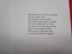 Una poesia di Giorgio Orelli