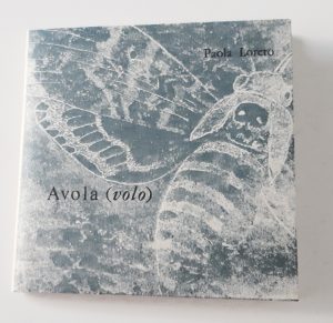 Avola (volo) di Paola Loreto - Copertina